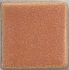 Coyote Glaze - MBG242 - Papaya - 1 Pint