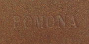 Aardvark Clay's Pomona