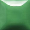 Mayco Stroke & Coat - SC-007 - Leapin' Lizard -  2 oz.