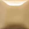 Mayco Stroke & Coat - SC-046 - Rawhide -   8 oz.