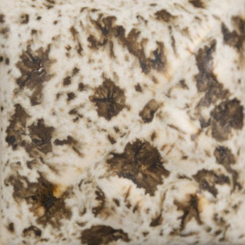 Mayco Stoneware Glaze - SW-155 - Winter Wood - 1 pint